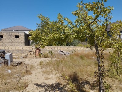 image 372828