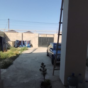 image 372846