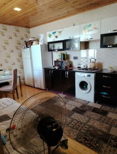 image 372848