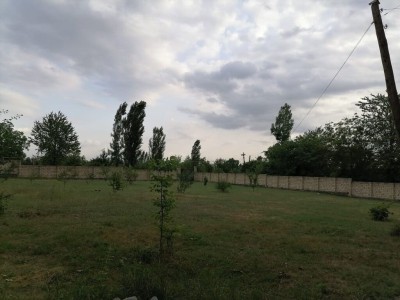 image 372870