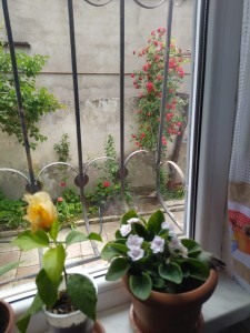 image 372925