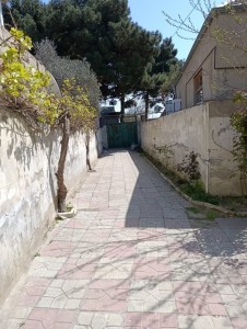 image 372925