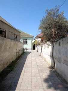image 372925