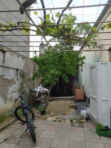 image 372925