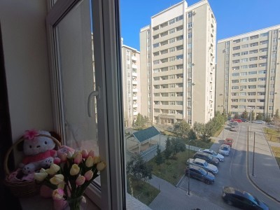 image 372951