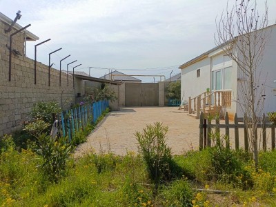 image 372965