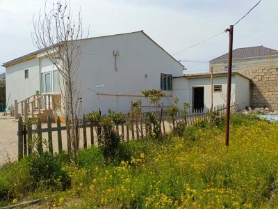 image 372965