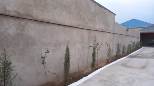 image 373008