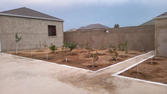 image 373008