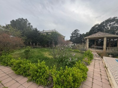 image 373034
