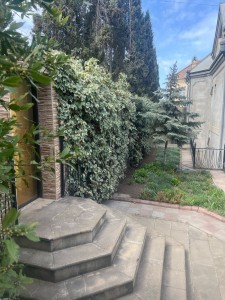 image 373035