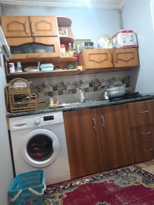 image 373037