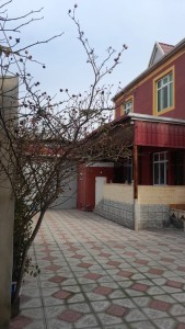 image 373072