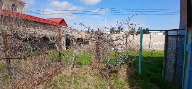 image 373076