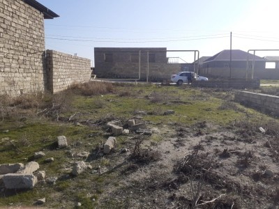 image 373095