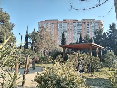 image 373168