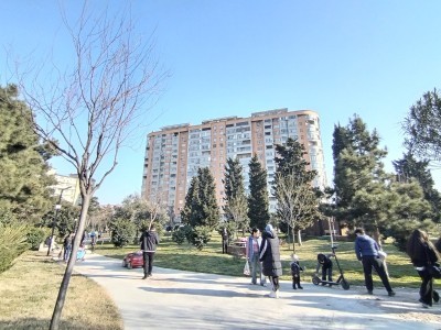 image 373168