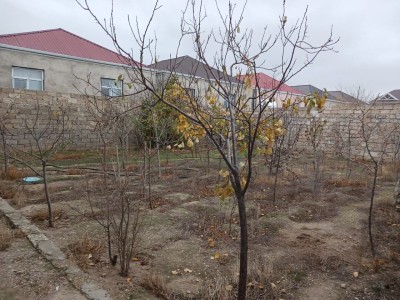 image 373180