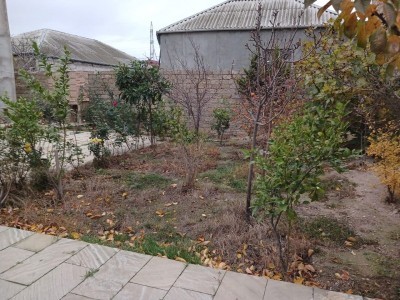 image 373180