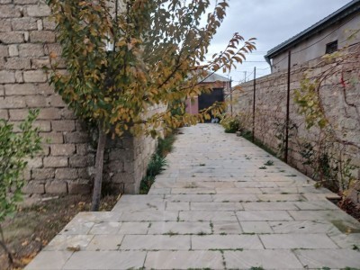 image 373180