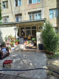 image 373186