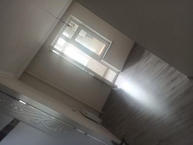 image 373200