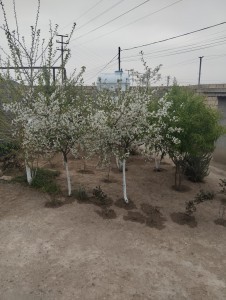 image 373272