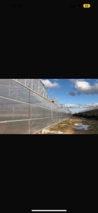 image 373279