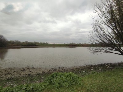 image 373280