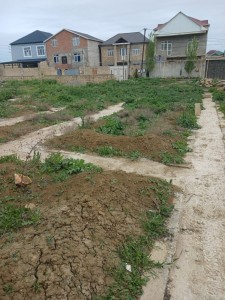 image 373297