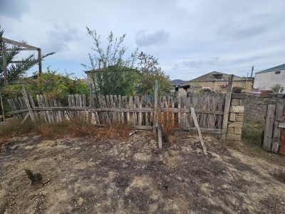 image 373319