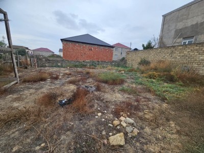image 373319