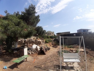 image 373338