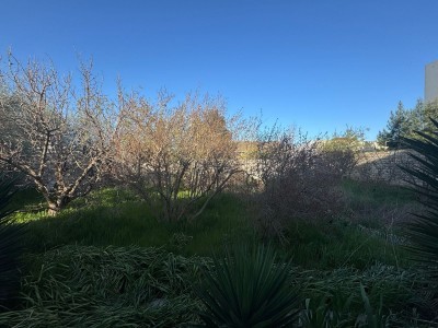 image 373391
