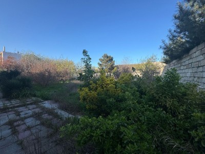 image 373391