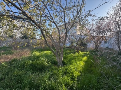 image 373391