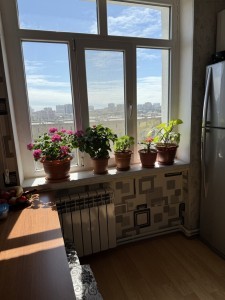 image 373399