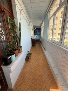 image 373399