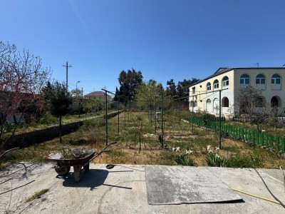 image 373439