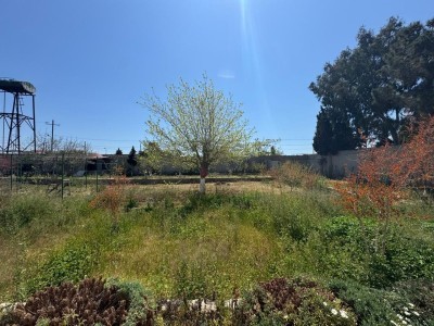 image 373439