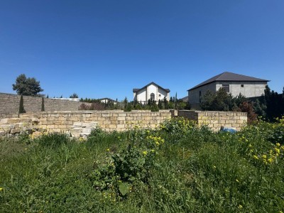 image 373446