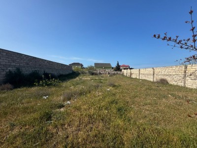image 373453