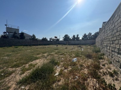 image 373453