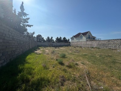 image 373453