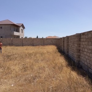 image 373480