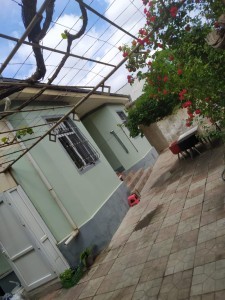 image 373490
