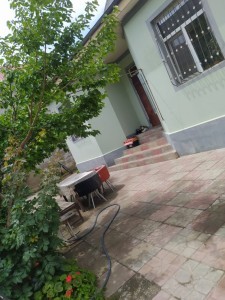 image 373490