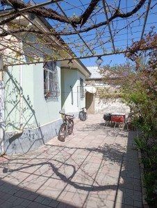 image 373490
