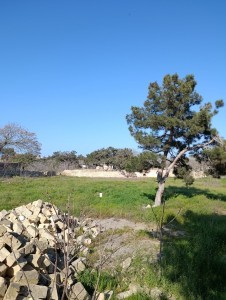 image 373529