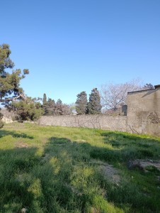 image 373529